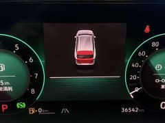 Volkswagen Lanxun 380TSI AWD R-Line Cruise Edition - ფოტო 12