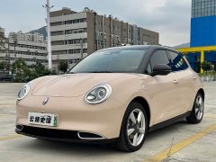 ORA Good Cat 400km Standard Range Athena Edition LFP Battery - ფოტო 1