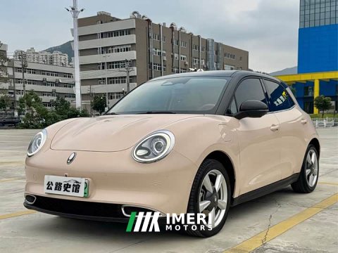 2021 ORA Good Cat 400km Standard Range Athena Edition LFP Battery - ავტომობილი ჩინეთიდან