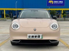 ORA Good Cat 400km Standard Range Athena Edition LFP Battery - ფოტო 2