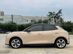 ORA Good Cat 400km Standard Range Athena Edition LFP Battery - ფოტო 3