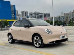 ORA Good Cat 400km Standard Range Athena Edition LFP Battery - ფოტო 8