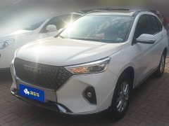 Haval M6 PLUS 1.5T DCT Luxury Smart Connected Edition - ფოტო 1
