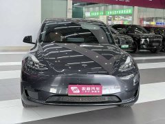 Tesla Model Y Rear-Wheel Drive - ფოტო 2