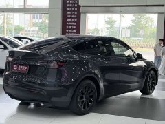 Tesla Model Y Rear-Wheel Drive - ფოტო 6