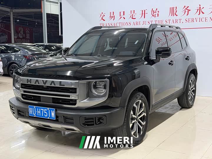Great Wall Dachshund 1.5T DCT Two-Wheel Drive Border Collie Edition