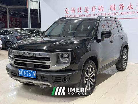 2023 Great Wall Dachshund 1.5T DCT Two-Wheel Drive Border Collie Edition