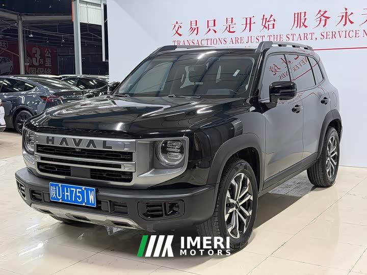 Great Wall Dachshund 1.5T DCT Two-Wheel Drive Border Collie Edition