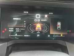 Tank 300 Off-Road Edition 2.0T Conqueror - ფოტო 14