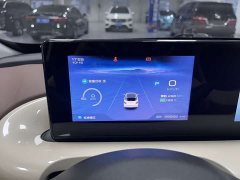 Wuling Binguo 333km Joy Edition - ფოტო 13