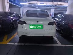Tesla Model Y Rear-Wheel Drive - ფოტო 3