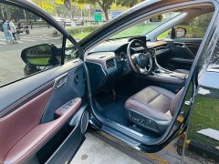 Lexus RX 2021 300 AWD Special Edition - ფოტო 10
