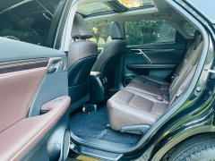 Lexus RX 2021 300 AWD Special Edition - ფოტო 12