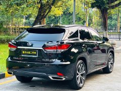 Lexus RX 2021 300 AWD Special Edition - ფოტო 5