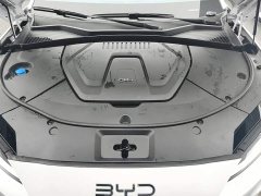 BYD Song Plus New Energy 2025 DM-i 112KM Prestige - ფოტო 10