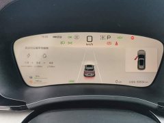 BYD Song Plus New Energy 2025 DM-i 112KM Prestige - ფოტო 14