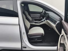 BYD Song Plus New Energy 2025 DM-i 112KM Prestige - ფოტო 8