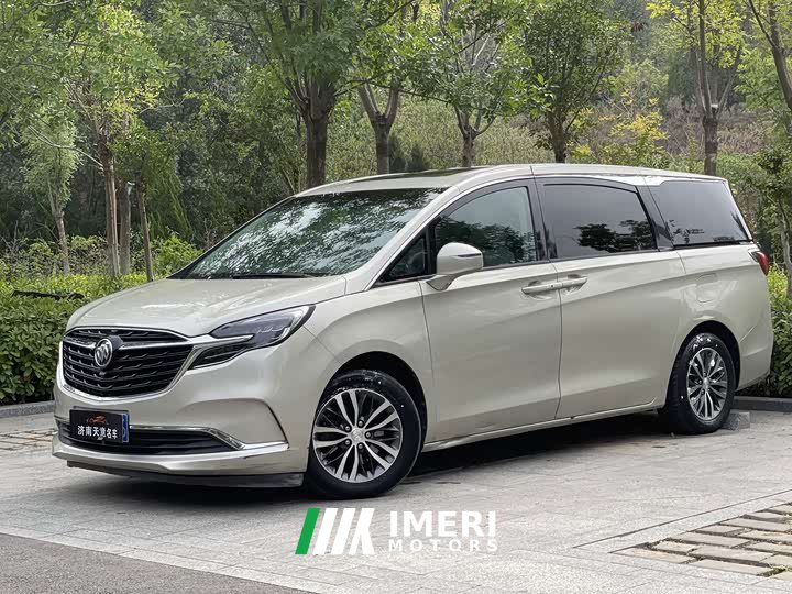 Buick GL8 ES Luxe 653T Comfort