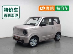 Geely Panda Mini 200km Endurance Edition - ფოტო 1