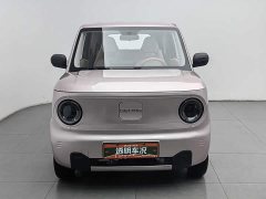 Geely Panda Mini 200km Endurance Edition - ფოტო 3