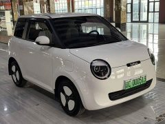 Changan Lumin 205km Xiangqin Edition - ფოტო 2
