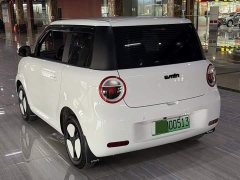 Changan Lumin 205km Xiangqin Edition - ფოტო 5