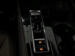 Volkswagen Viloran 380TSI Zunchi Edition - ფოტო 13