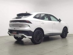 Dongfeng Fenghang T5 EVO Kuangbiao Edition 1.5TD DCT Platinum - ფოტო 2