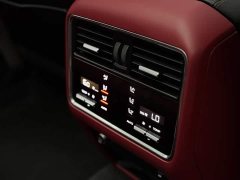 Porsche 2022 Cayenne 3.0T Platinum Edition - ფოტო 11
