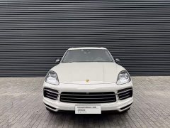 Porsche 2022 Cayenne 3.0T Platinum Edition - ფოტო 16