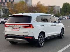 Hyundai Couss 380TGDi Smart Love Luxury Edition LUX Premium - ფოტო 11