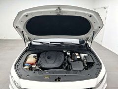 Geely Xingrui 2.0T Diesel Premium - ფოტო 17