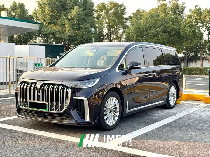 Voyah Dream 2024 PHEV Extended Range Luxury Edition - ავტომობილი ჩინეთიდან
