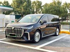 Voyah Dream 2024 PHEV Extended Range Luxury Edition - ფოტო 1