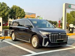 Voyah Dream 2024 PHEV Extended Range Luxury Edition - ფოტო 5