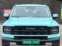 Haval Manlong New Energy Hi4 200 Ultra Ternary Lithium - ფოტო 2