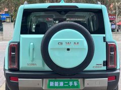 Haval Manlong New Energy Hi4 200 Ultra Ternary Lithium - ფოტო 7