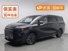 Dongfeng Xinghai V9 1.5TD 200km Chinese Knot Series Deluxe Edition - ფოტო 1