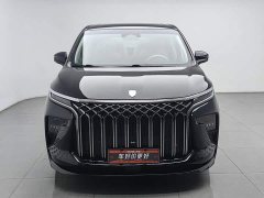 Dongfeng Xinghai V9 1.5TD 200km Chinese Knot Series Deluxe Edition - ფოტო 3