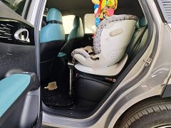 Geely Xing Yuan 310km Dream Edition - ფოტო 18