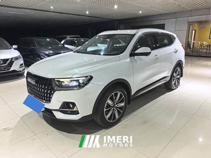 Haval H6 National Trend Edition 1.5T Automatic Champion Version