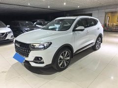 Haval H6 National Trend Edition 1.5T Automatic Champion Version - ფოტო 1