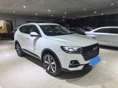 Haval H6 National Trend Edition 1.5T Automatic Champion Version - ფოტო 3