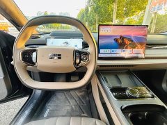 Geely Galaxy Xingyao 8 130km EM-P Starship Edition - ფოტო 7