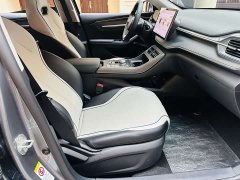 BYD Destroyer 05 Glory Edition DM-i 55KM Luxury - ფოტო 11