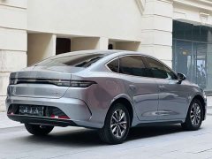 BYD Destroyer 05 Glory Edition DM-i 55KM Luxury - ფოტო 5