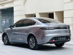 BYD Destroyer 05 Glory Edition DM-i 55KM Luxury - ფოტო 7