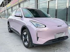 Geely Xing Yuan 310km Dream Edition - ფოტო 3