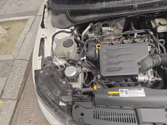 Volkswagen Polo Plus 1.5L Edition - ფოტო 20