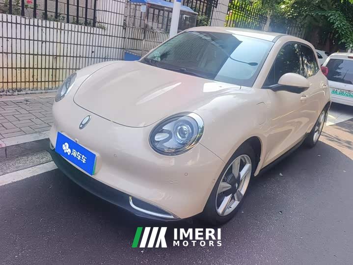 ORA Good Cat 2021 400km Standard Range Athena Edition LFP Battery - ავტომობილი ჩინეთიდან